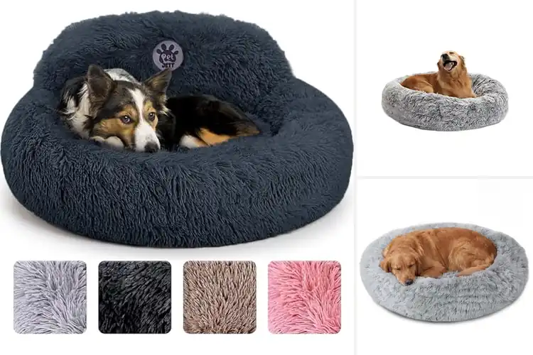 Detailed view of Best Anti-Anxiety Dog Beds: Top Picks for a Calm, Cozy Pup