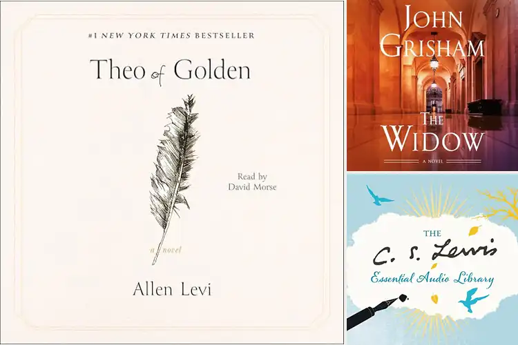 Detailed view of Best Audible Audiobooks: Your Next Great Listen Awaits