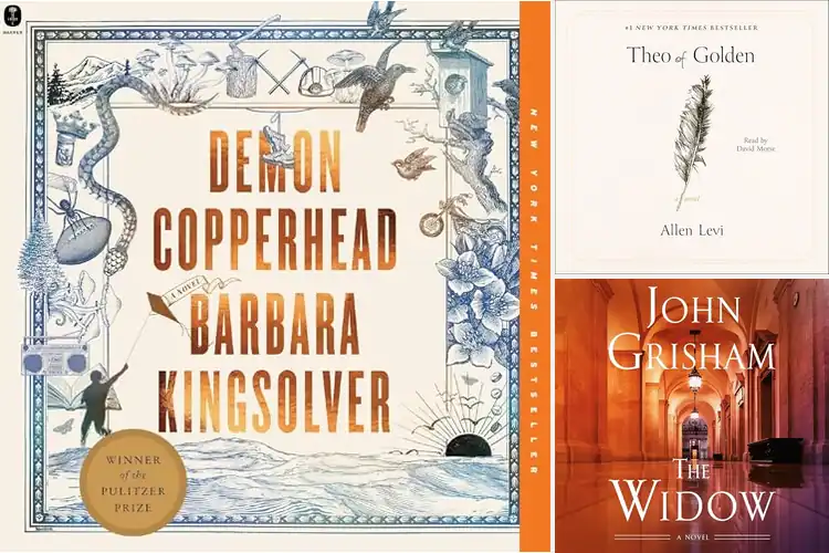 Detailed view of Best Audible Novels