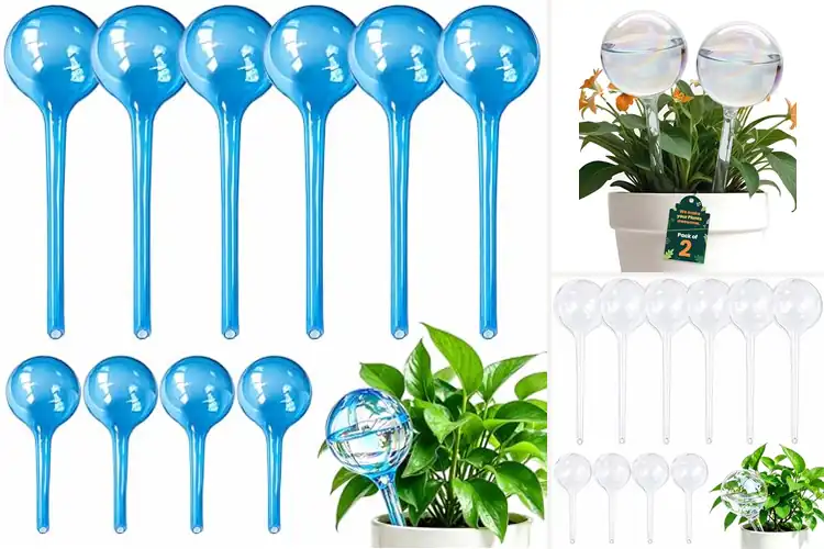 Detailed view of Best Automatic Plant Watering Globes