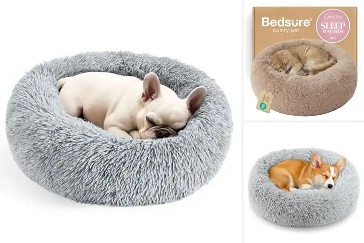 Detailed view of Best Calming Cat Beds: Top 10 Cozy & Anxiety-Free Picks