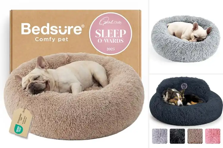 Detailed view of Best Calming Dog Bed