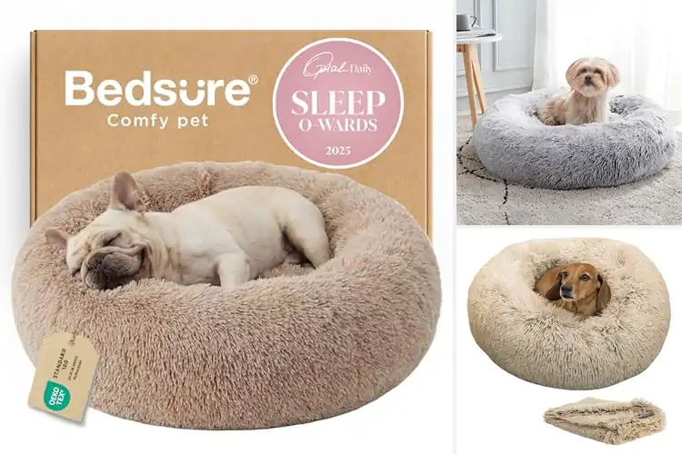 Detailed view of Best Calming Dog Bed Sets: Top 10 Picks for Cozy Relaxation