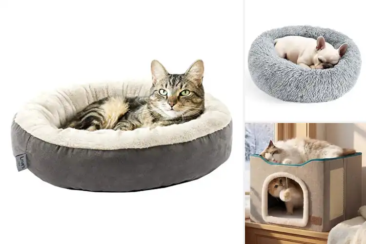 Detailed view of Best Cat Beds: Top 10 Cozy Picks for Happy Felines
