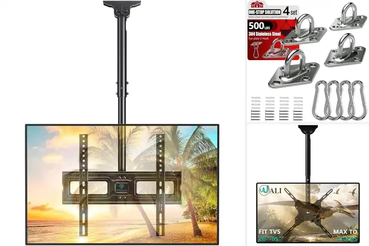 Detailed view of Best Ceiling Mounts