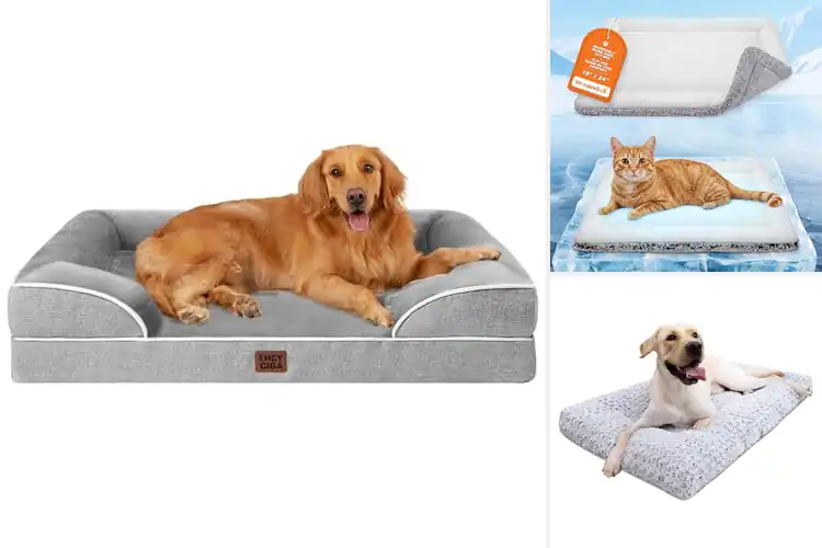 Detailed view of Best Cold Weather Dog Beds: 10 Cozy Picks for Winter Warmth