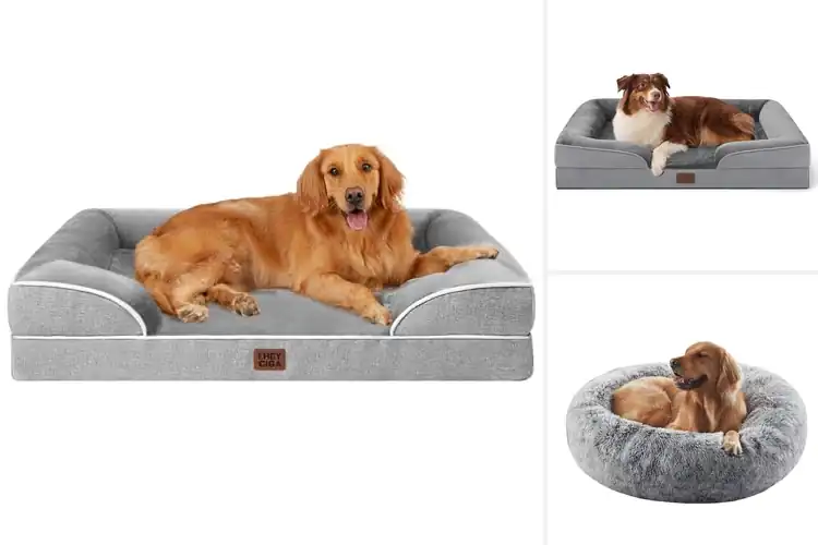 Detailed view of Best Comfortable Dog Beds