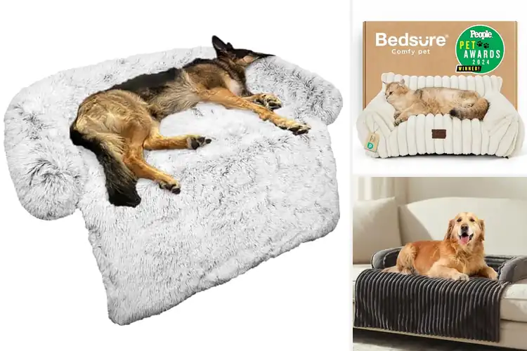 Detailed view of Best Couch Pet Beds
