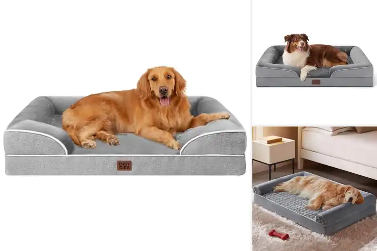 Detailed view of Best Dog Beds for Large Dogs