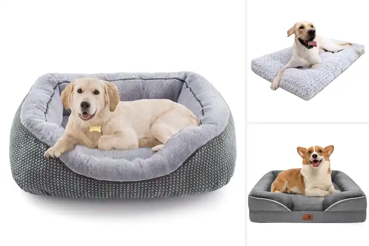 Detailed view of Best Dog Beds for Medium Dogs