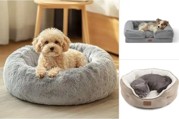 Detailed view of Best Dog Beds for Small Dogs