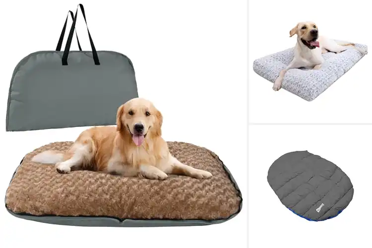 Detailed view of Best Dog Beds For Travel: 10 Top Picks for Comfy Adventures