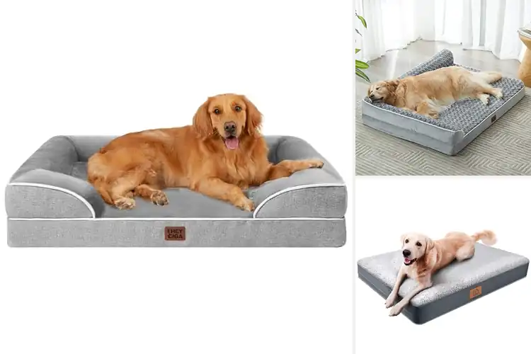 Detailed view of Best Dog Beds