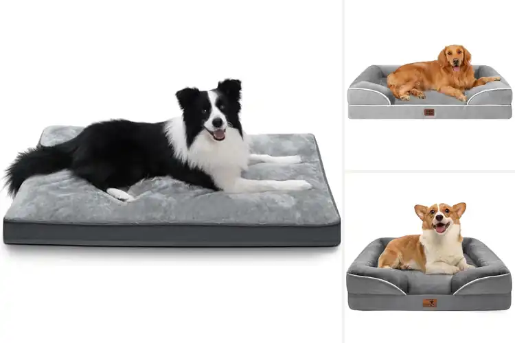 Detailed view of Best Dog Beds With Removable Covers