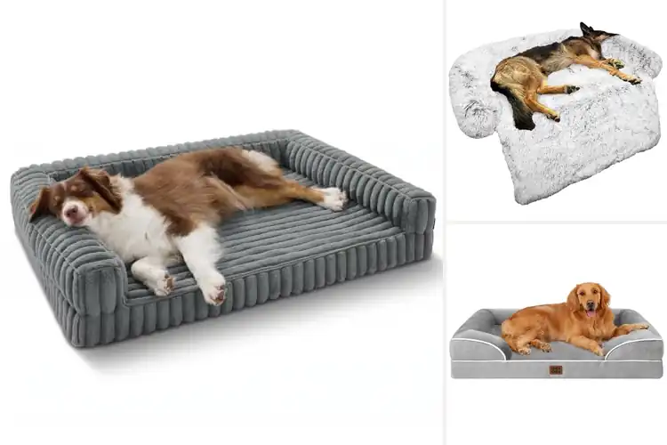 Detailed view of Best Dog Couch Beds