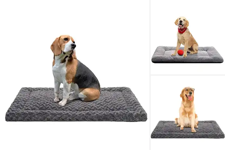Detailed view of Best Dog Crate Pads for Comfort & Easy Cleaning