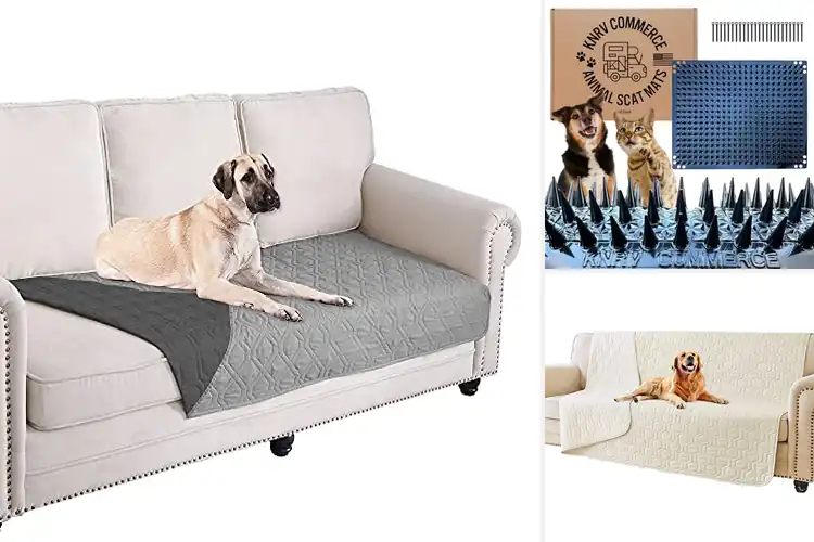 Detailed view of Best Dog Mats For Furniture