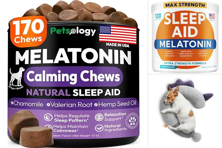 Detailed view of Best Dog Sleep Supports