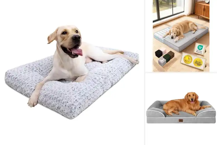 Detailed view of Best Easy Care Dog Bed