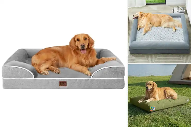 Detailed view of Best Extra Large Dog Bed: Top 10 Picks for Ultimate Comfort