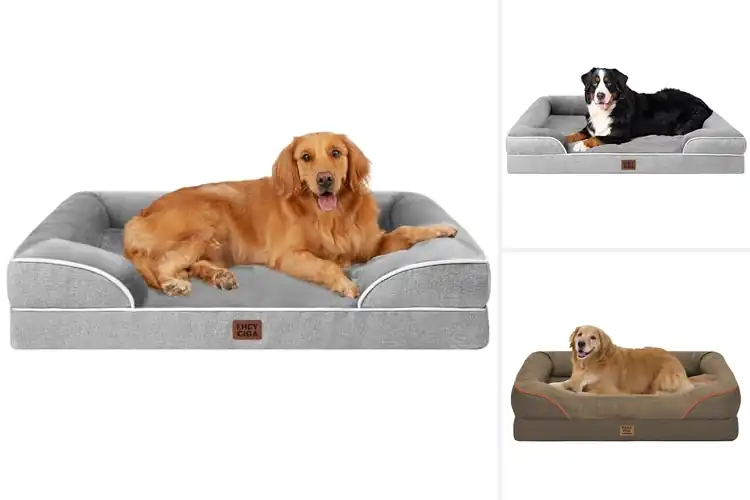 Detailed view of Best Extra Large Dog Beds