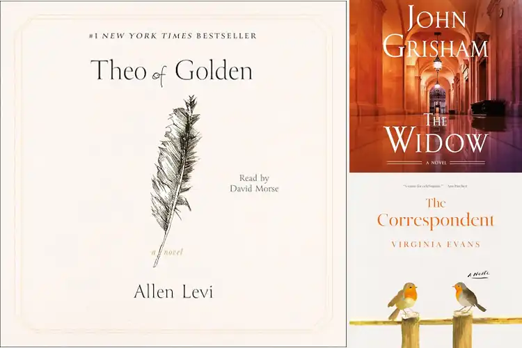 Detailed view of Best Fiction Audiobooks
