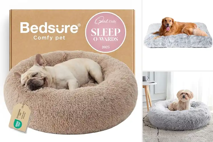 Detailed view of Best Fluffy Dog Beds: Top 10 Picks for Ultimate Pet Comfort