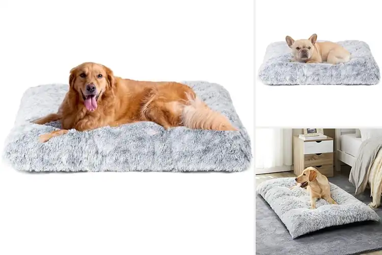 Detailed view of Best Fluffy Plush Dog Mats