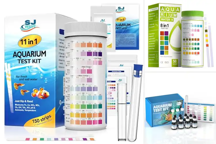 Detailed view of Best Freshwater Aquarium Test Kits