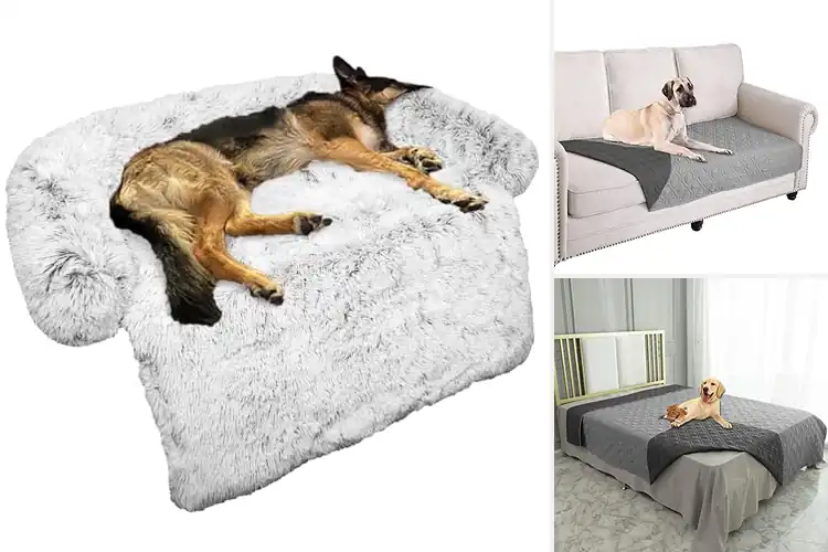 Detailed view of Best Furniture Protector Dog Beds