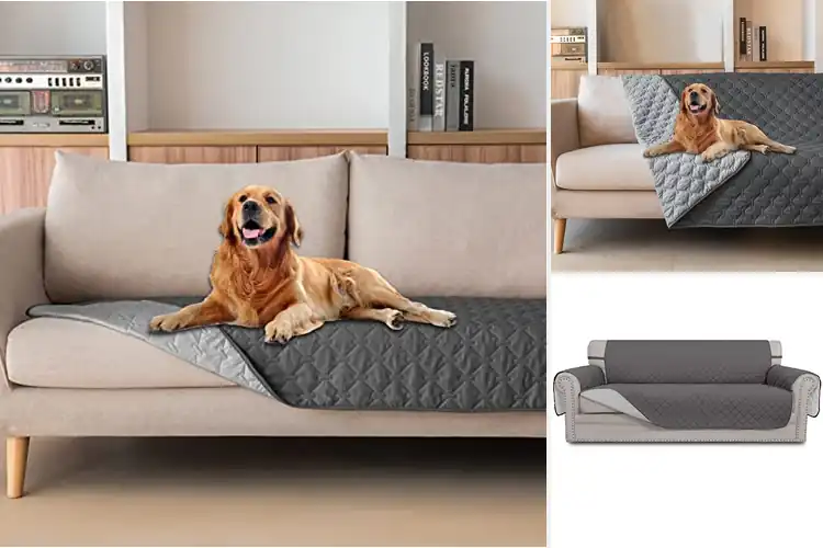Detailed view of Best Furniture Protectors for Dogs