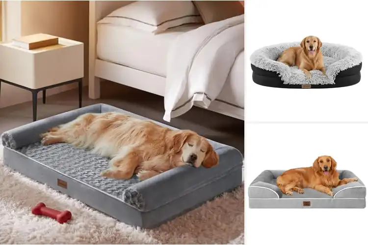 Detailed view of Best Head Support Dog Bed: Top 10 Cozy Picks for Your Pup