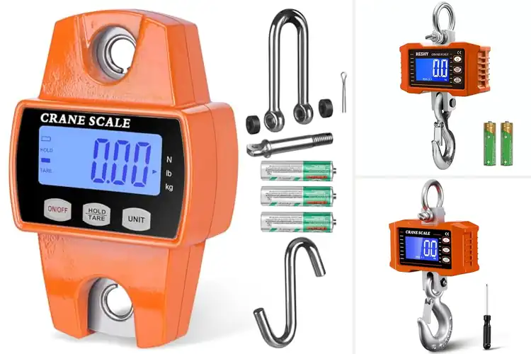 Detailed view of Best Heavy Duty Hanging Scales