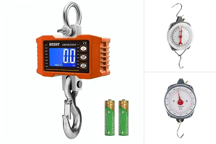 Detailed view of Best Industrial Hanging Scales for Heavy Loads
