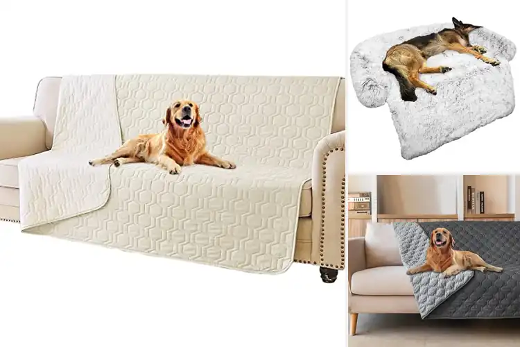 Detailed view of Best Large Dog Bed For Furniture Protector
