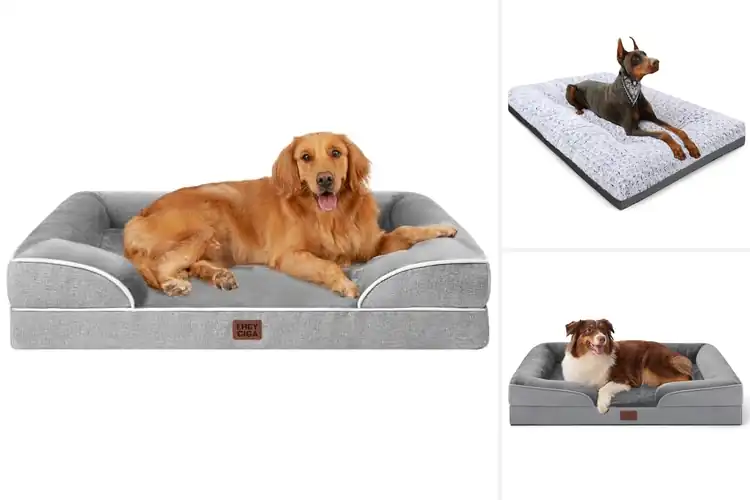 Detailed view of Best Large Dog Bed: 10 Top Picks for Ultimate Comfort