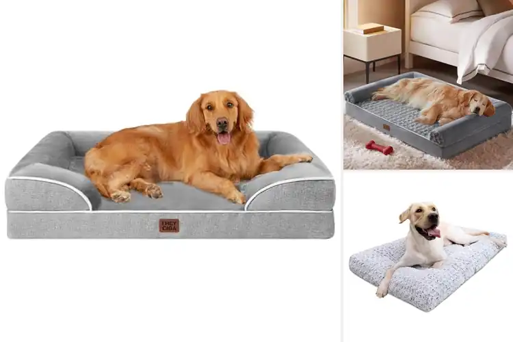 Detailed view of Best Large Dog Beds