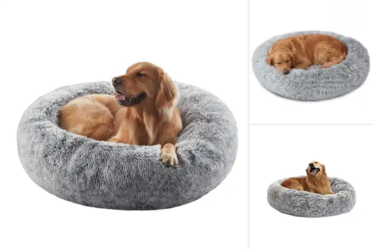 Detailed view of Best Large Dog Calming Beds
