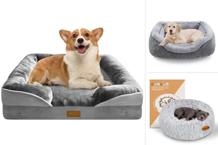 Detailed view of Best Medium Dog Bed
