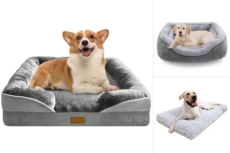 Detailed view of Best Medium Dog Beds