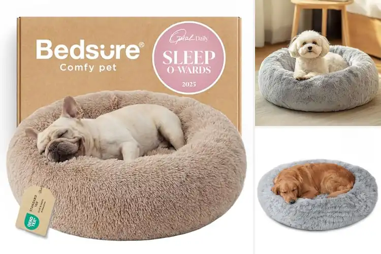 Detailed view of Best Medium Dog Calming Beds: Top 10 Cozy Picks for Your Pup