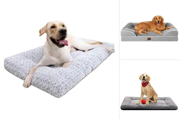 Detailed view of Best Non Slip Dog Bed: Top 10 Cozy & Safe Picks for Your Pup