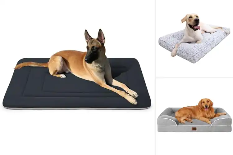 Detailed view of Best Non Slip Dog Beds