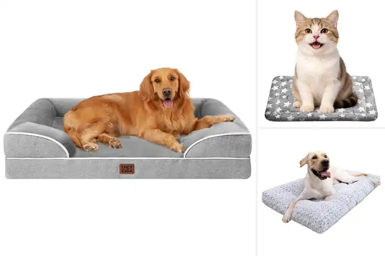 Detailed view of Best Non Slip Pet Beds: Cozy, Stable, and Easy to Clean