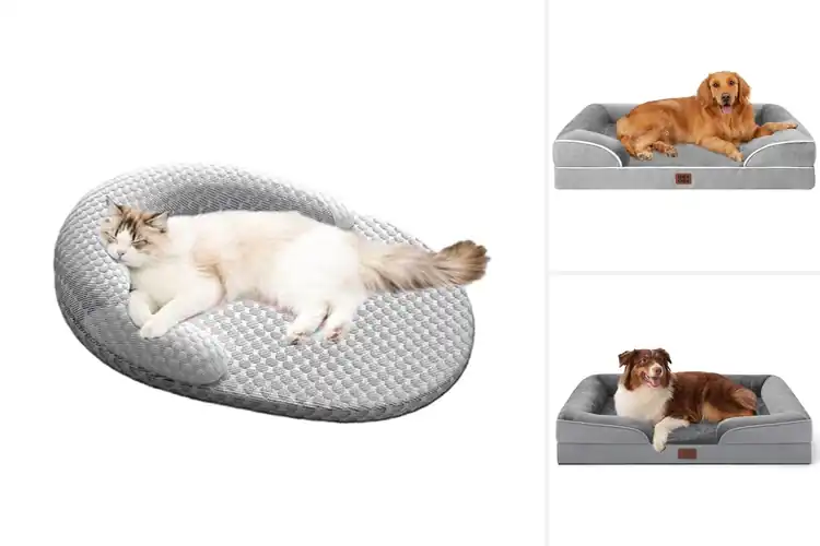 Detailed view of Best Orthopedic Dog Beds for Neck Support