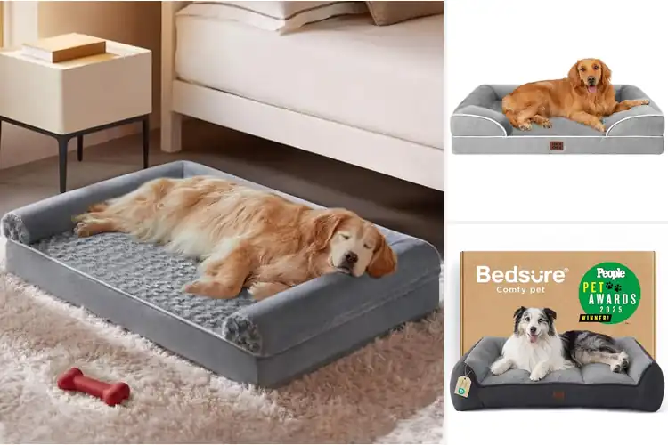 Detailed view of Best Orthopedic Dog Beds