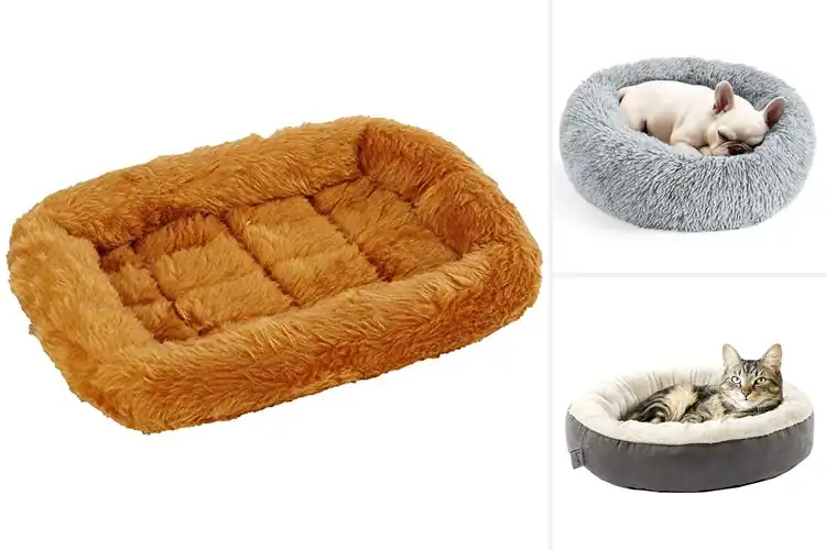 Detailed view of Best Pet Beds For Cats: 10 Cozy Picks Your Feline Will Love
