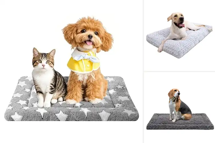 Detailed view of Best Pet Crate Pads