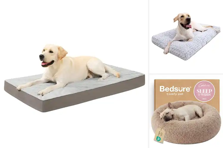 Detailed view of Best Plush Dog Bed Fabric