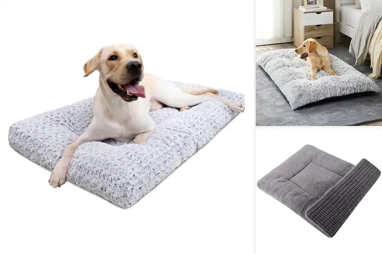 Detailed view of Best Plush Dog Bed For Sleep